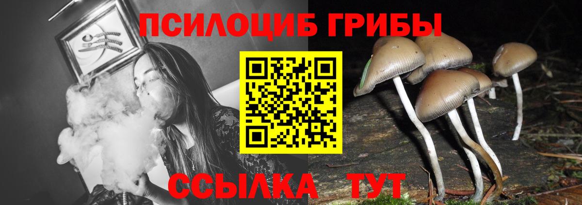 Галлюциногенные грибы прущие грибы Азнакаево
